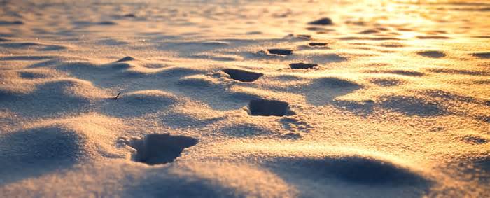 Footsteps In Snow