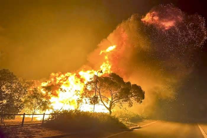 A fire rages in bushland near the West Australian city of Wannaroo, north of Perth in the early hours of Thursday, Nov. 23, 2023. Dozens of residents have been evacuated and at least 10 homes have been destroyed by a wildfire that is burning out of control on the northern fringe of the west coast city of Perth during heatwave spring conditions, authorities say.(DFES via AP)