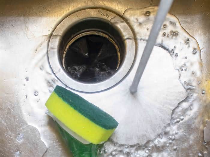 7 Items To Never Put Down A Garbage Disposal, According To Experts