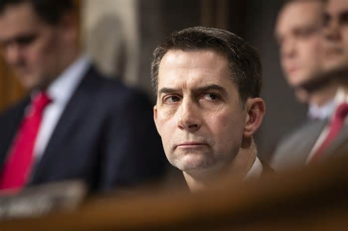 Maddow Blog | The problem with Tom Cotton’s ugly embrace of McCarthyism