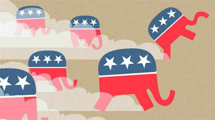 Elephants stampede in Clearwater election