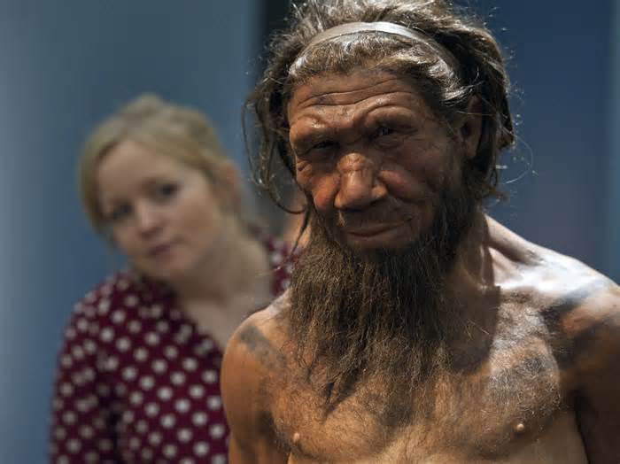 Neanderthals and humans may belong to the same species, say scientists. It could rewrite the history of our evolution.