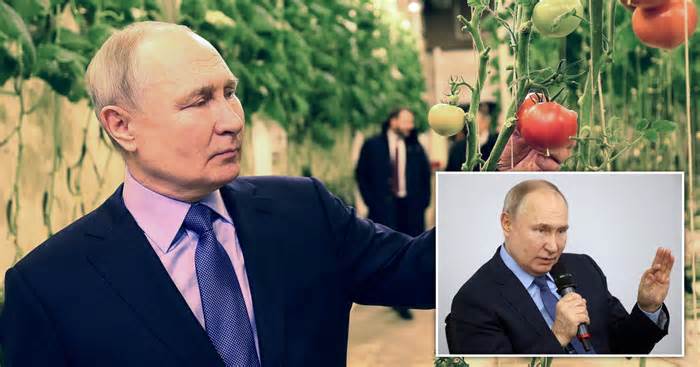 Putin takes a trip to Russian city just 50 miles from the US