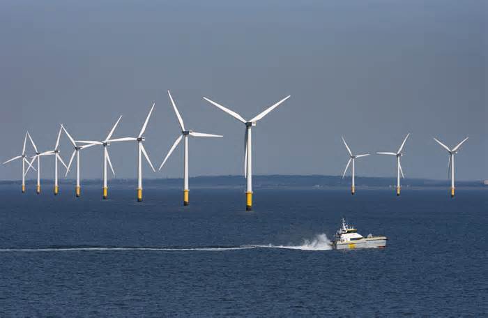 a number of wind turbines amid water