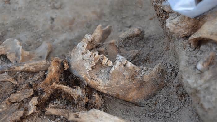 Uncovered Bones May Point to a “Ghost Population”