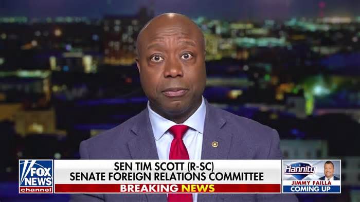 Tim Scott: The things Biden has said in the face of African Americans is 'despicable'