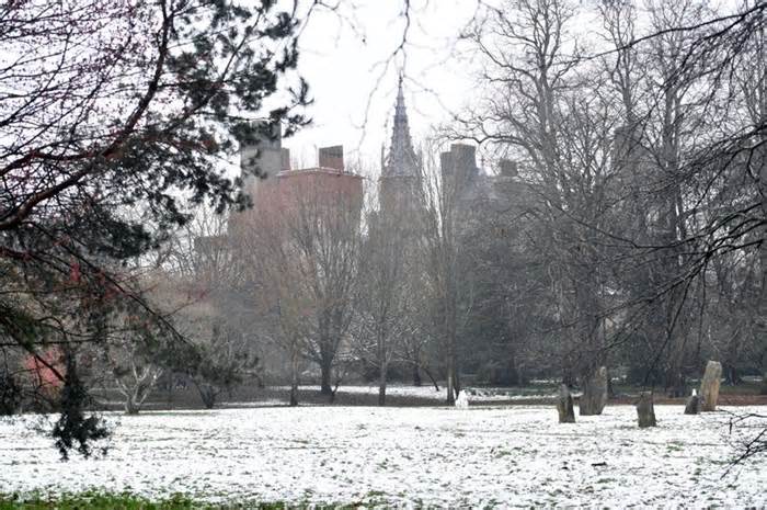 The Met Office says there's a slim chance of the severe weather predicted by some meteorologists this Christmas | Pictured: snow in Bute Park, Cardiff earlier this year