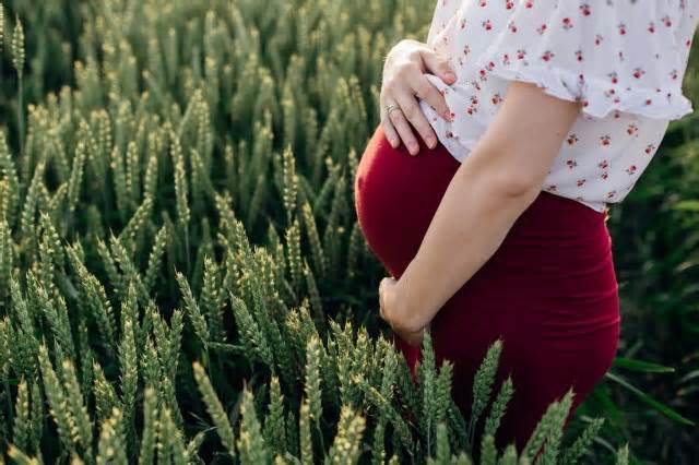 Study makes alarming find about pregnant women living near farms: ‘Preterm birth and reduced fetal growth’