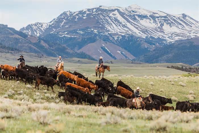 Historic Wyoming Ranch Goes Back on the Market for $67 Million