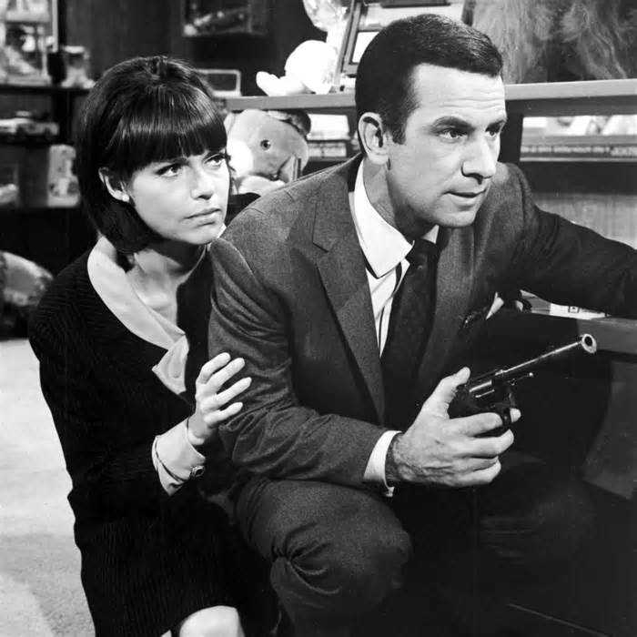 Don Adams and Barbara Feldon played the spy roles, working for CONTROL, a deep state counterintelligence agency within the United States government.