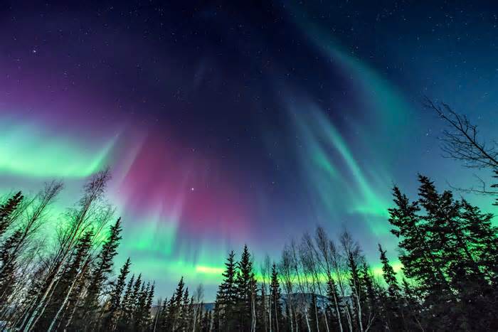 Want to see the northern lights? Good news: Experts predict years of awesome aurora viewing.