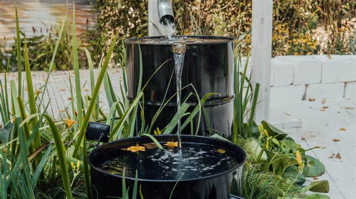 Texas Woman Turns Rainwater Collection Bin Into Water Garden