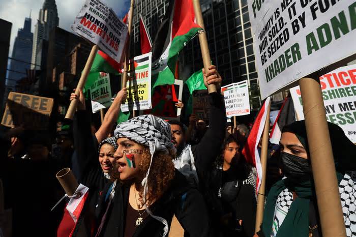 Pro-Palestinian demonstrators in New York City