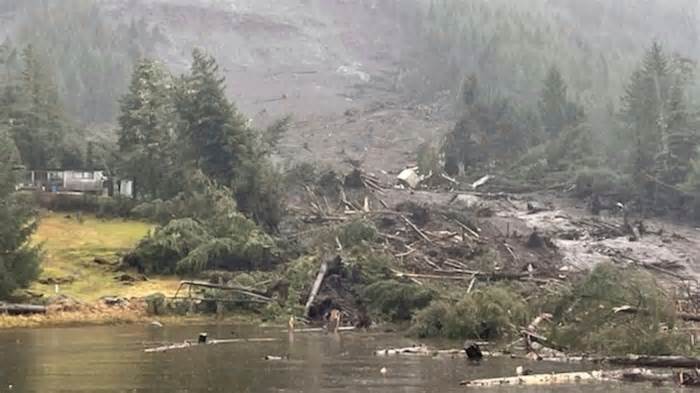 The aftermath of a landslide in Wrangell, Alaska. Pic: AP