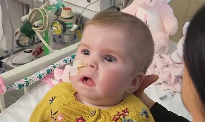 Indi Gregory: critically ill baby girl removed from life support