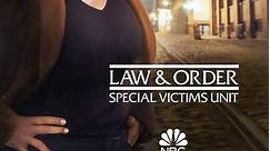 Law & Order: Special Victims Unit: Season 22 Episode 5 Turn Me on Take Me Private