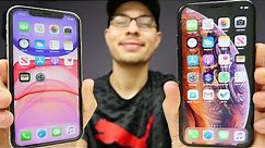 iPhone XS vs iPhone 11 - Which to buy?