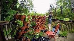 Building the self-watering ultimate patio farm in 4 minutes...