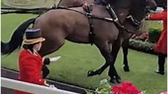 Horse pulling Princess Beatrice's carriage gets spooked