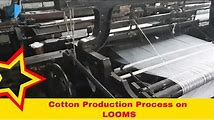 How Fabrics Products are Made from Cotton to Garments
