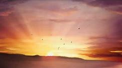 Sunrise, moving clouds and flying birds - Video Background Loop HD 1080P