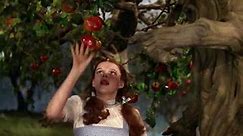 The Wizard of Oz - Apple Tree