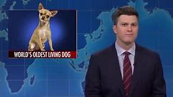 SNL's Weekend Update tackles TikTok, AI chatbots, and Chipotle