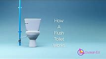 The Science of Flushing: How Toilets Work
