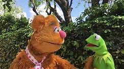 Kermit the Frog & Fozzie Bear | The Muppets Take The O2