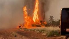 Fueled by dry conditions and hot winds, a fire tornado was filmed destroying parts of a property in Tennant Creek, NT. #ACM #TrustedVoice #Bushfires | Newcastle Herald