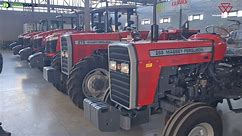 The benefits of the Massey Ferguson 200 Series working hard in the Eastern Cape at Tractor World.