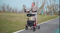 Zler Upright Walker for Seniors, Stand Up Rollator Walker with Seat, Armrest Walker with Backrest and Seat, 10” Front Wheels for Indoor and Outdoor, Supports up to 300lbs (Grey)