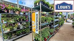 Lowes Garden Center CLEARANCE! Shop Lowes Clearance Plants With Me! June 2022 Lots of Plants!