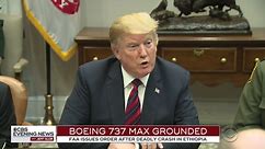 Trump grounds 737 Max 8 jets