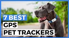 Best Gps Pet Trackers in 2024 - How to Choose a Tracker to Keep an Eye on your Pet?