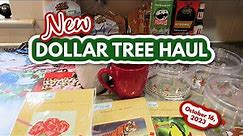 DOLLAR TREE HAUL! New Finds! October 16, 2023