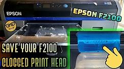 SOLVED: Epson F2100 / F2000 Fix Print Head Unclogging & Deep Cleaning Nozzle Check HACK DIY