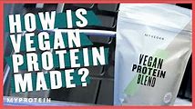 How to Choose and Use Vega Protein Powder