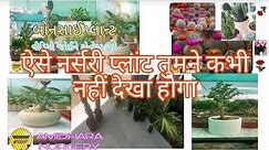 Plant Nursery Visit, || plants business at home,2024#flower #youtubevideo