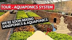 Tour of the Myaquaponics Aquaponics System - Soon to have Sandponics Mixed in - Sept 2022
