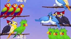 birds cartoon video #cartoon