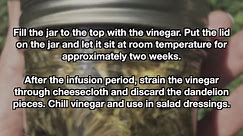 Dandelion Vinegar Recipe (How to Make Dandelion Vinegar)