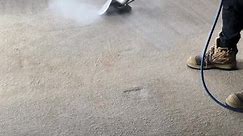 CARPET STEAM CLEANING 👍 MOBILE CAR... - Magnificent Cleaning