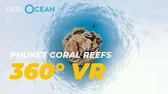 Dive into the Depths: Explore Phuket's Stunning Coral Reefs in 360 VR