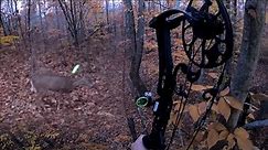 BOW HUNTING WHITETAIL DEER 2022 Pennsylvania Archery Season DOUBLE LUNG Perfect Shot Doe Hunt - USA