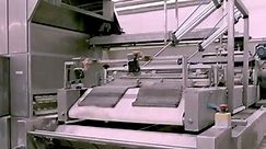 Openatalk - Automatic Bread Production Line (Tunnel Oven)...