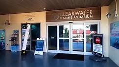 Zoo Tours: Clearwater Marine Aquarium | Full Tour | PART ONE