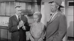 The Beverly Hillbillies - Season 1, Episode 4 (1962) - The Clampetts Meet Mrs. Drysdale Part 16 #thebeverlyhillbilliesshow #shortsvideo #TheBeverlyHillbillies #beverlyhillbillies | add12340500