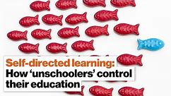 Self-directed learning: How ‘unschoolers’ control their education | Kerry McDonald