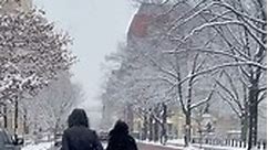 On a Snow Storm in and out in Washington DC on a Ambassador Mission… —— Na tempestade de neve entrando e saindo de Washington DC em uma missão de embaixador… | Maria Borges